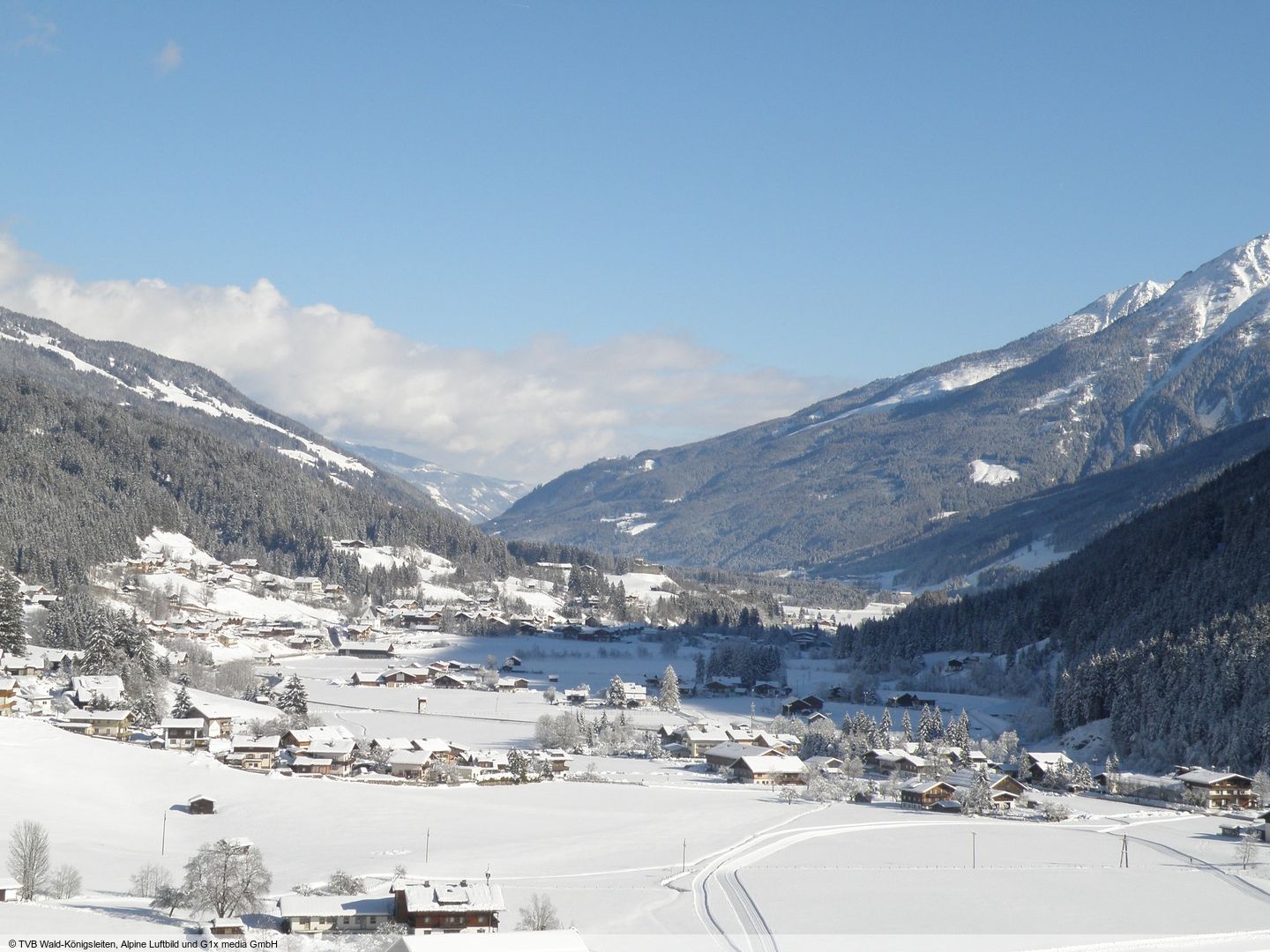 Wald (Pinzgau)